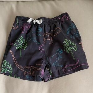 Kids Black Dino Print Swim Shorts